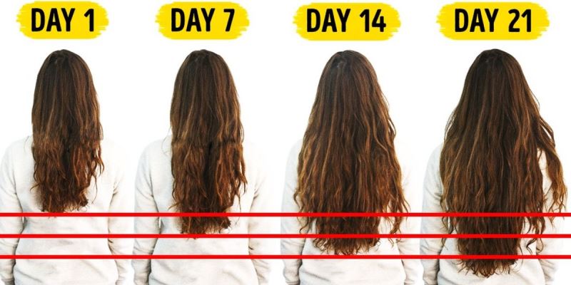 Ulta Growth-Basic Method To Enhance Hair Growth